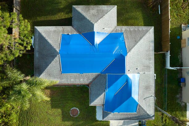Best Skylight Installation and Repair  in Bnchard, LA